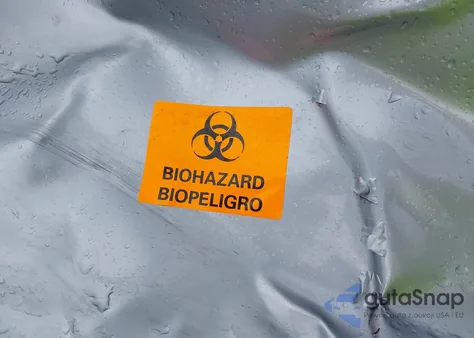 2025 Lexus Rx 350 Premium из США, поврежденный, VIN 2T2BAMBAXSC064733